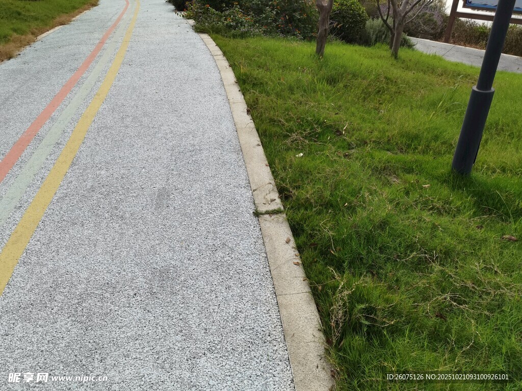 彩色步道旁的翠绿草地