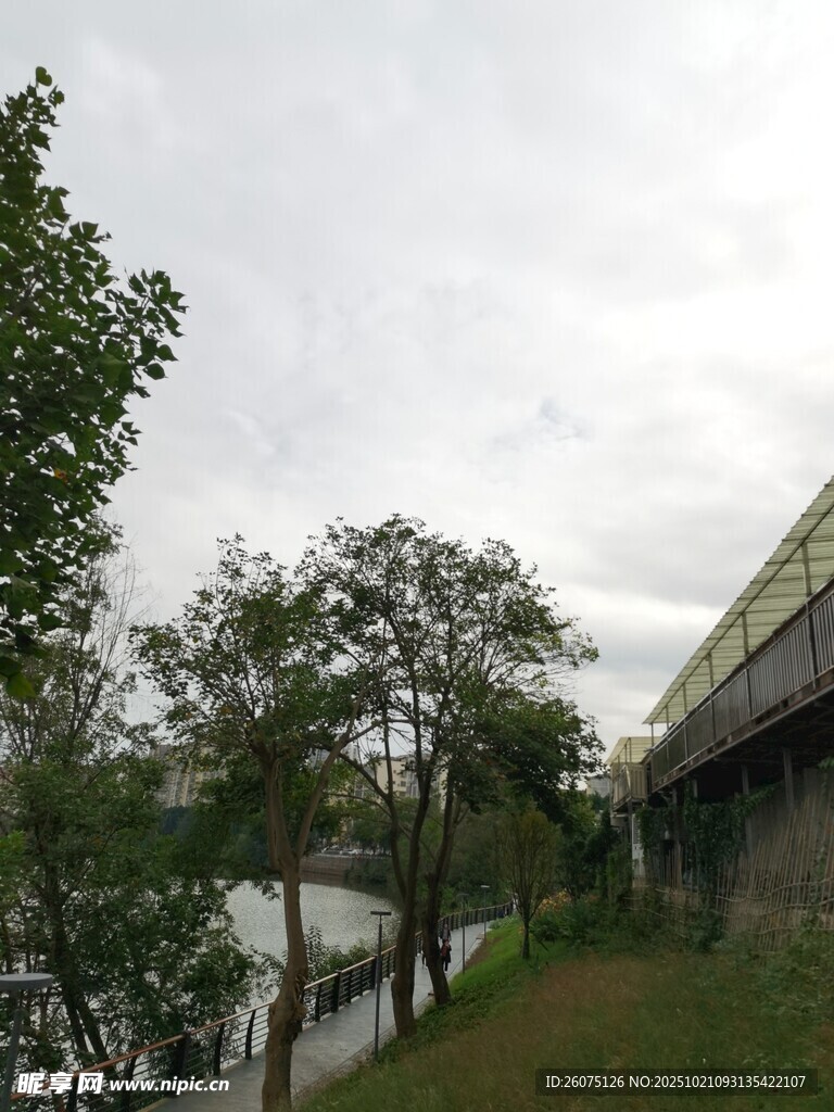 河边绿树与铁轨风景