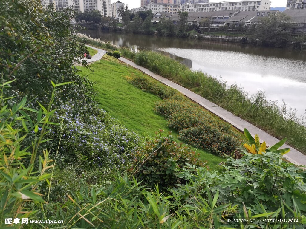 河畔绿植环绕的幽静步道