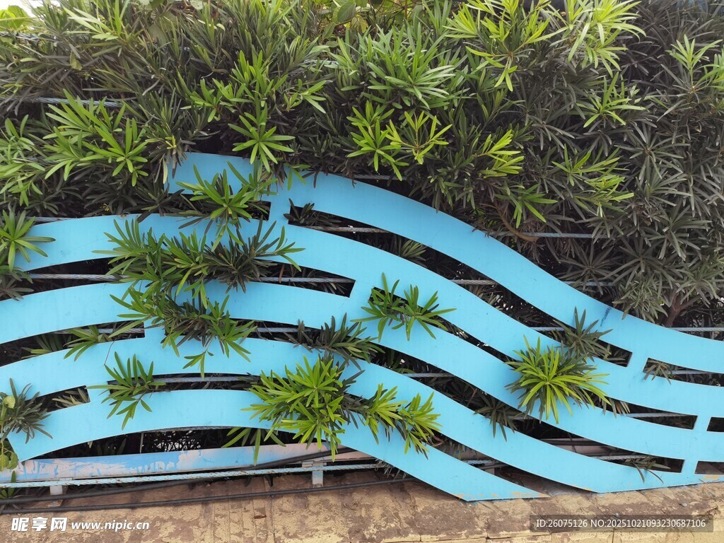 蓝色波浪形绿植装饰墙