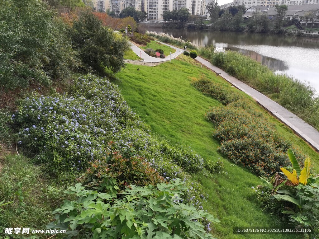 河畔绿意盎然的美丽步道