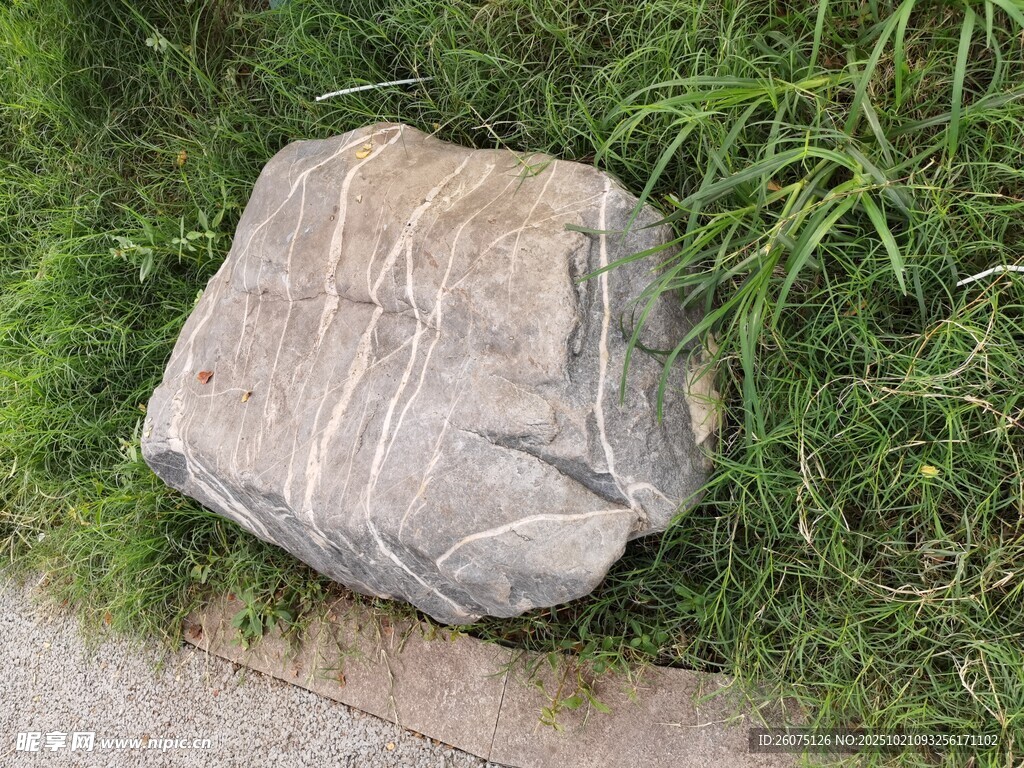草地上的灰色大石头