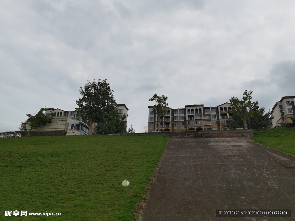 住宅区旁的草地与道路