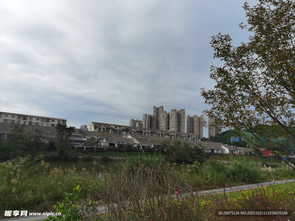 城郊风景远处高楼与绿植