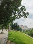 城市绿地旁的清新风景
