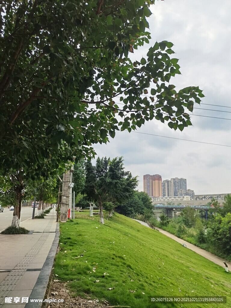 城市绿地旁的清新风景