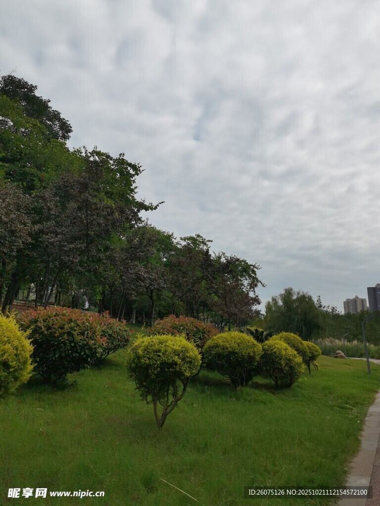绿意盎然的公园景观