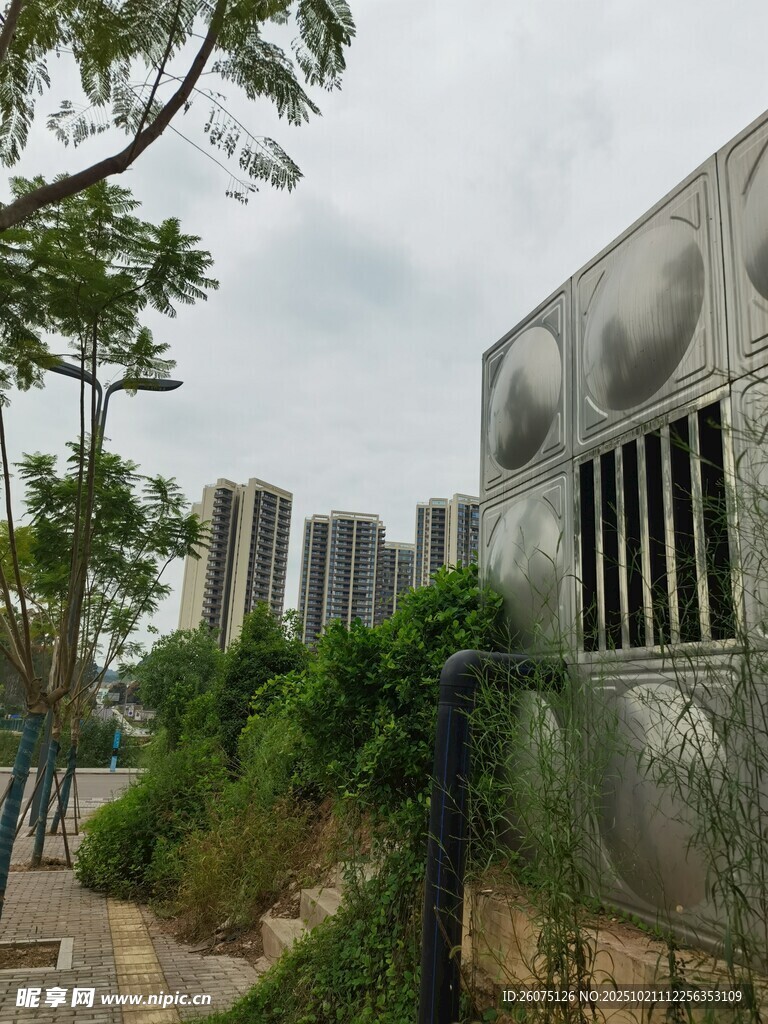 城市绿植环绕的建筑外观