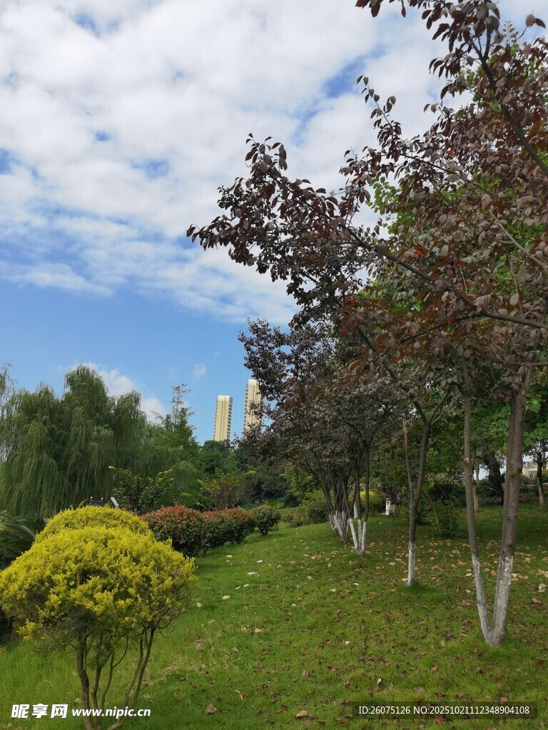 户外绿意盎然的美丽景致