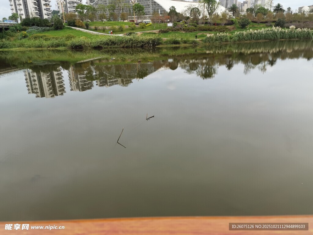 平静湖面倒映岸边景致