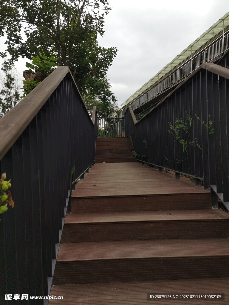 户外木质楼梯与绿植景观