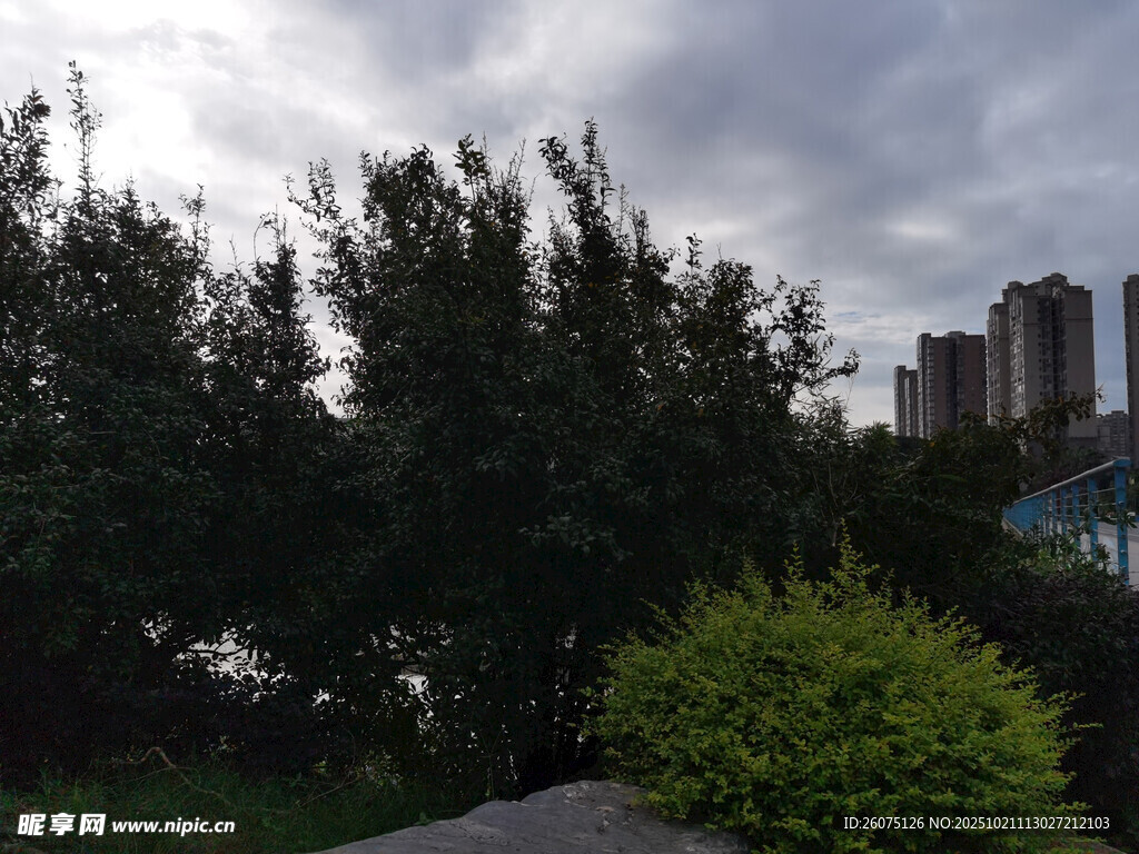 城市边绿树与阴云景观