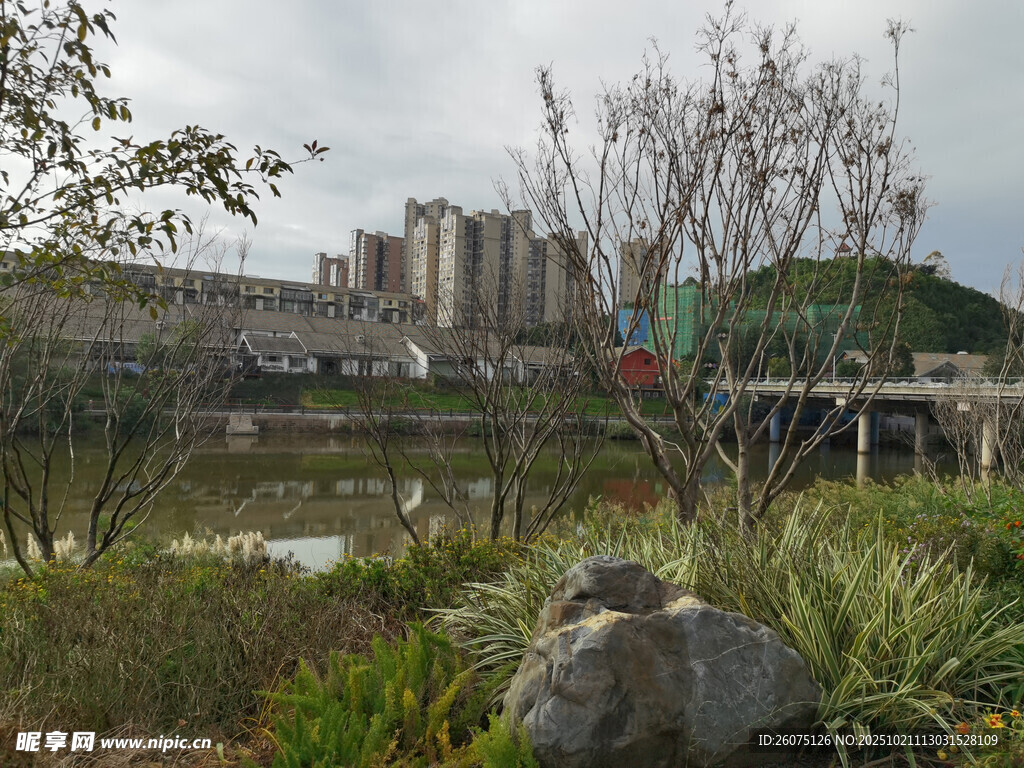 城市河畔自然景致