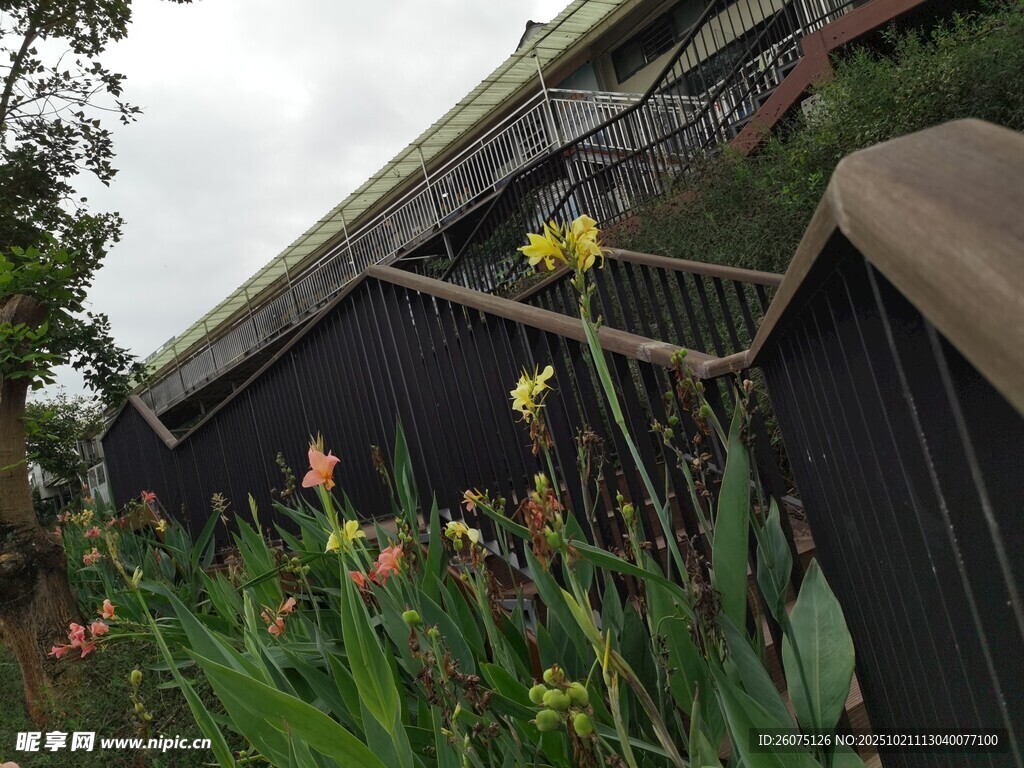 庭院绿植环绕的小屋角落