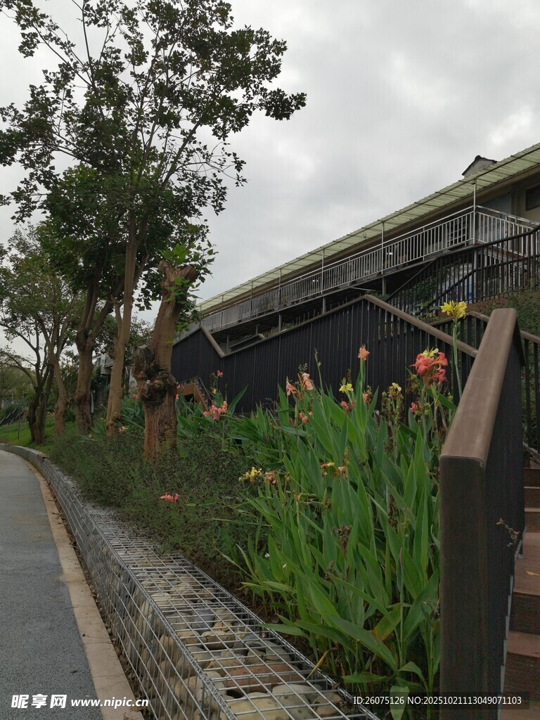 铁路旁的绿植景观