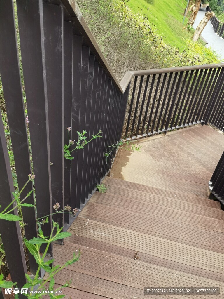 木质楼梯旁的绿植景致