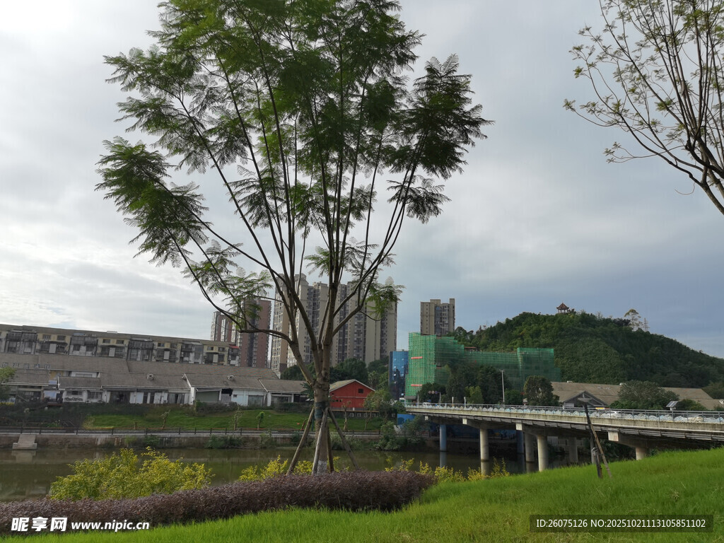 城市河畔绿树风景