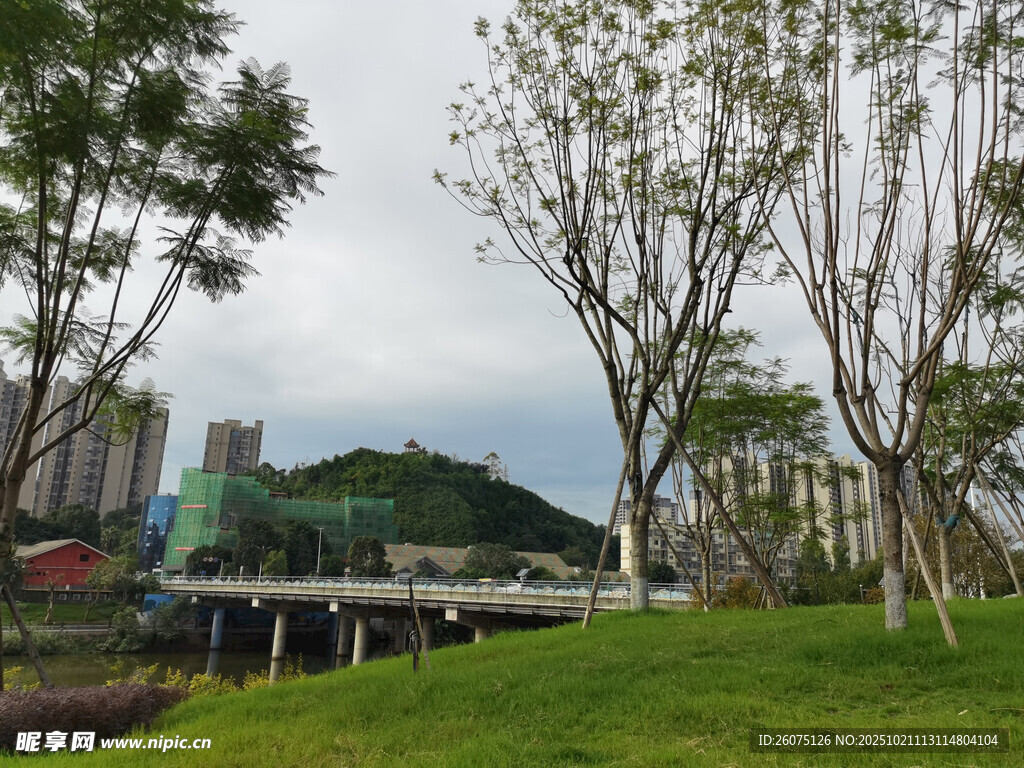 城市中的绿地与远处山峦