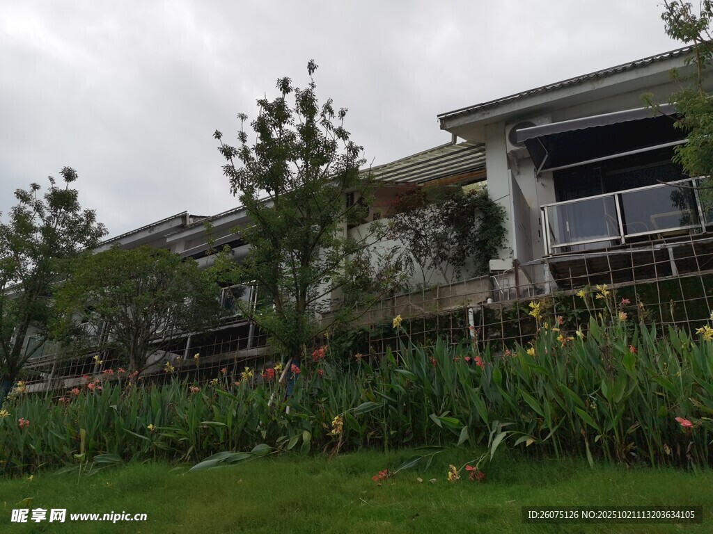 庭院绿植环绕的雅致住宅