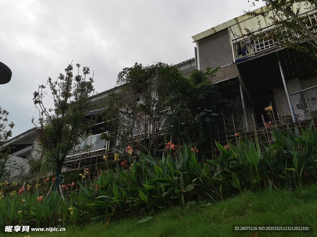 绿植环绕的山间小屋