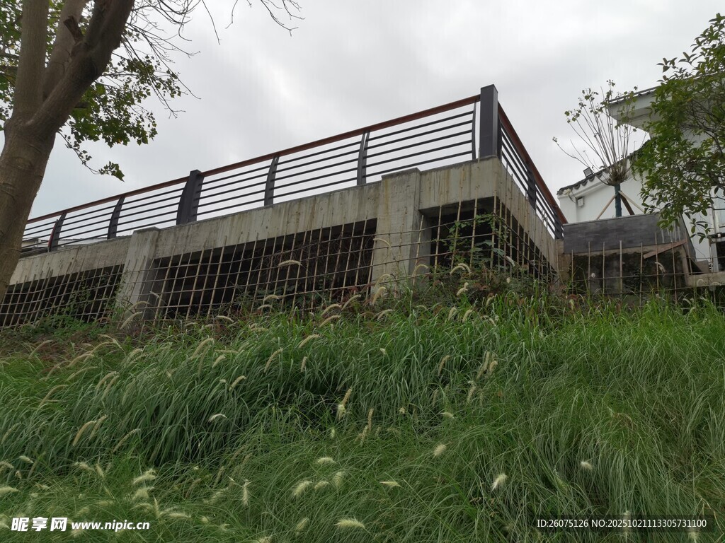 户外庭院绿植与建筑景观