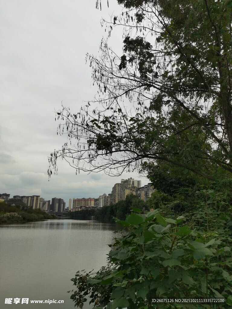 河畔绿植环绕的宁静风景