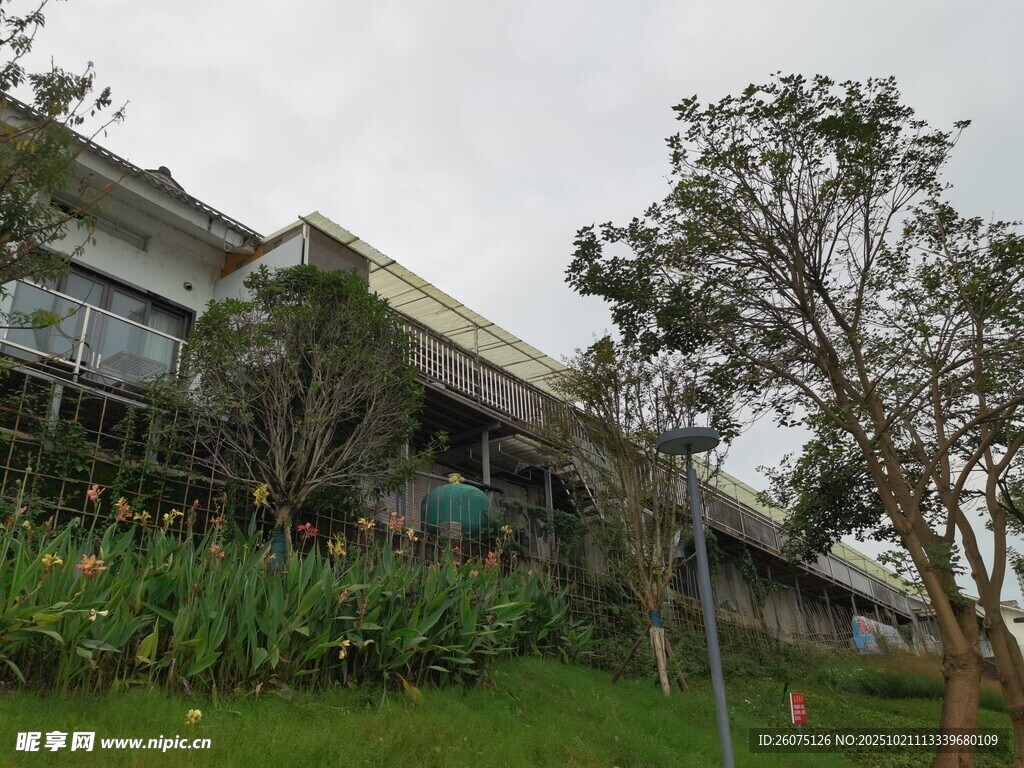 山坡上的绿植环绕建筑