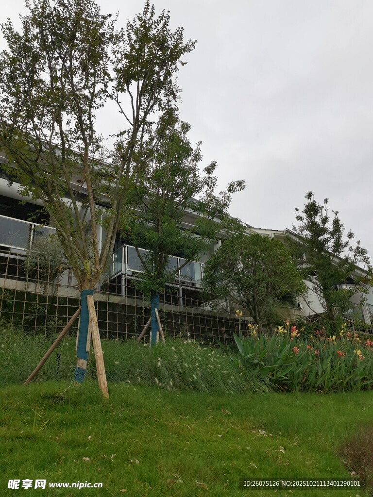 户外草地旁的建筑景观