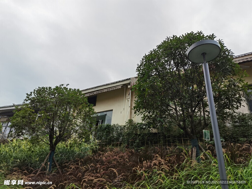 户外绿植环绕的建筑一角
