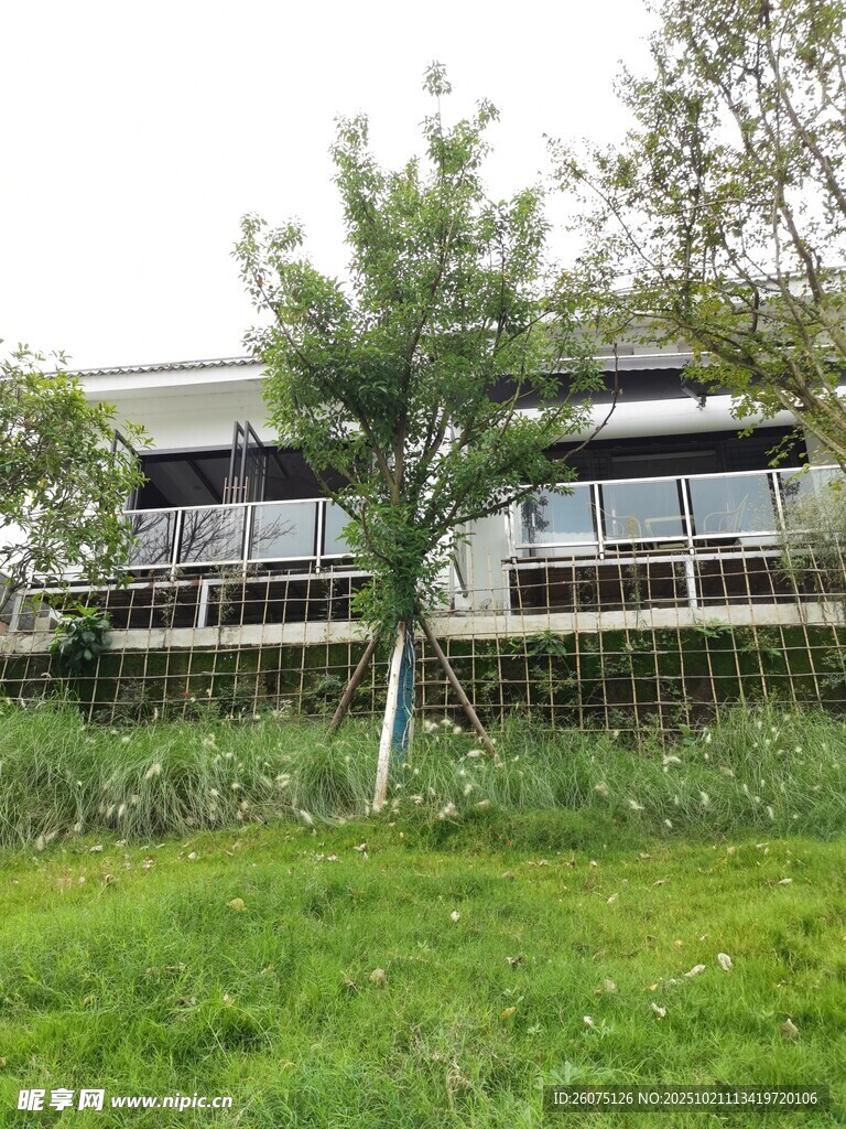 庭院绿植环绕的温馨住宅