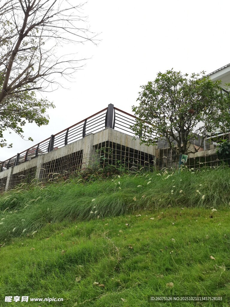 草地旁的建筑景观