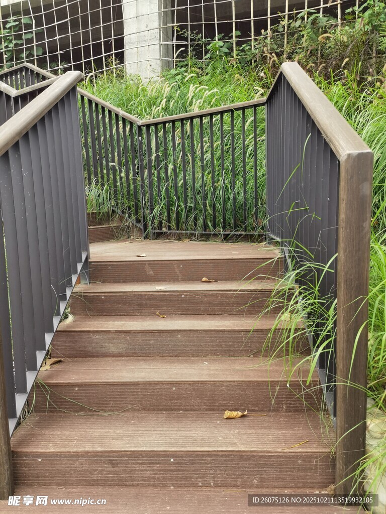 户外楼梯与绿植景观