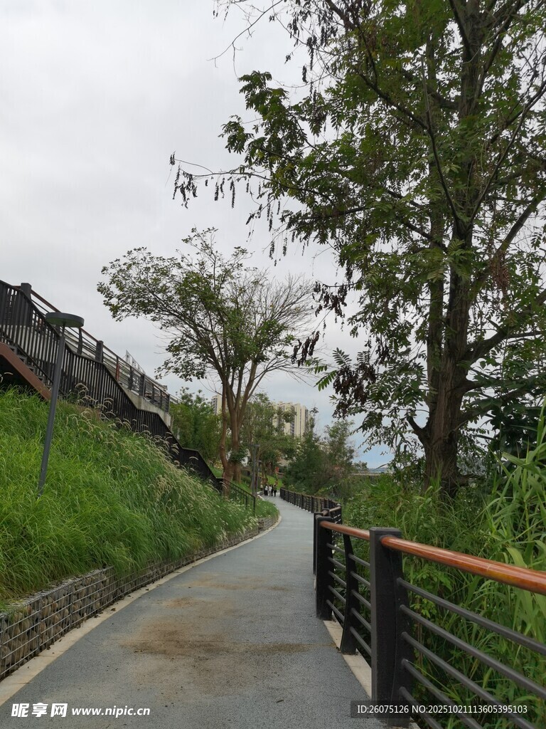 山间漫步小径绿意盎然