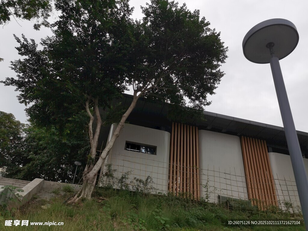 户外小屋旁的树木与灯柱