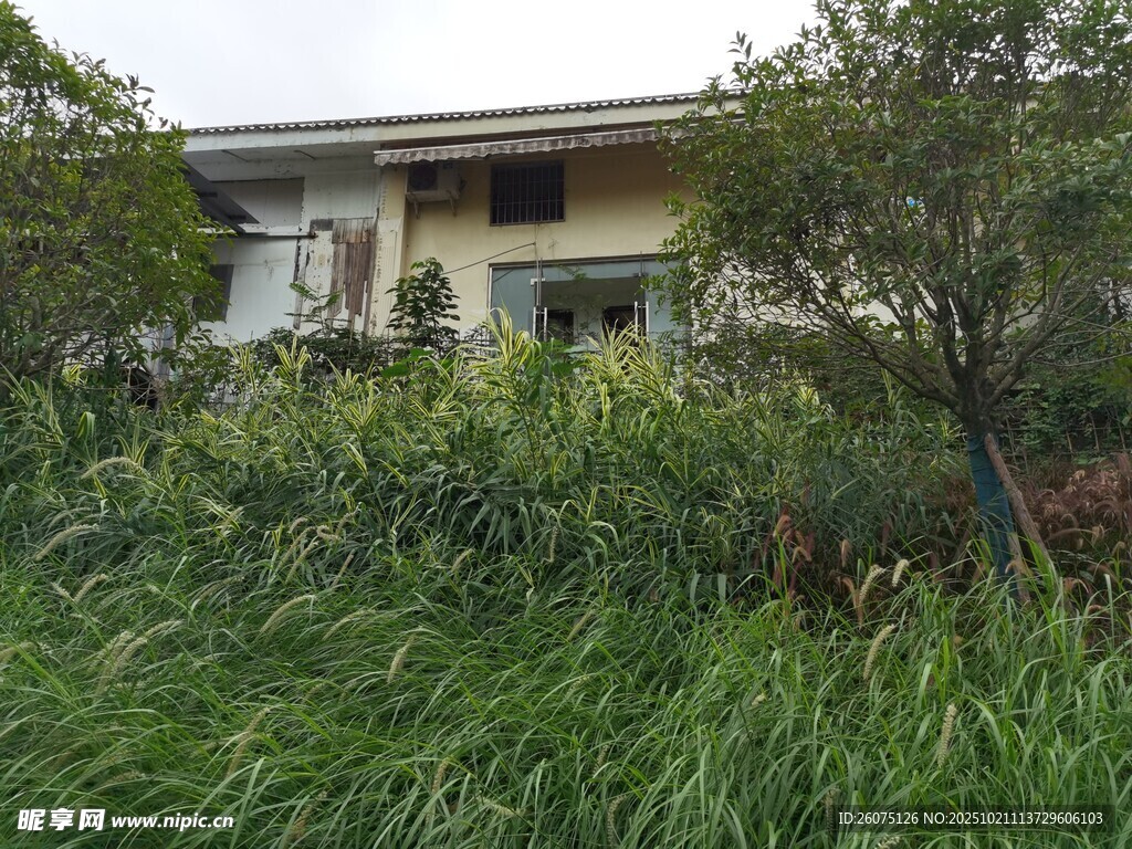 被绿植环绕的乡村小屋