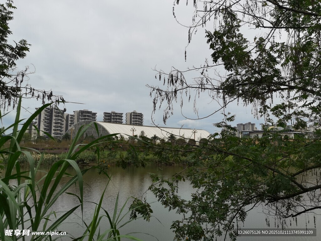湖畔城市风光