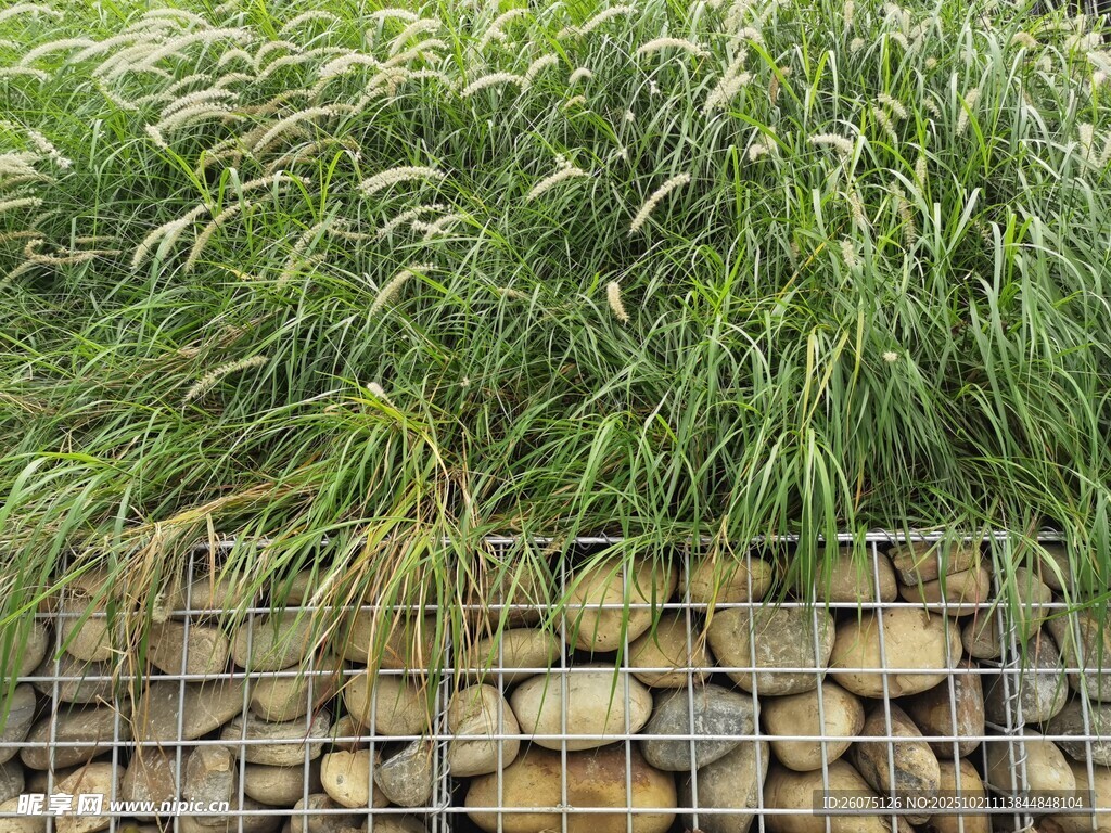 石墙绿植景观