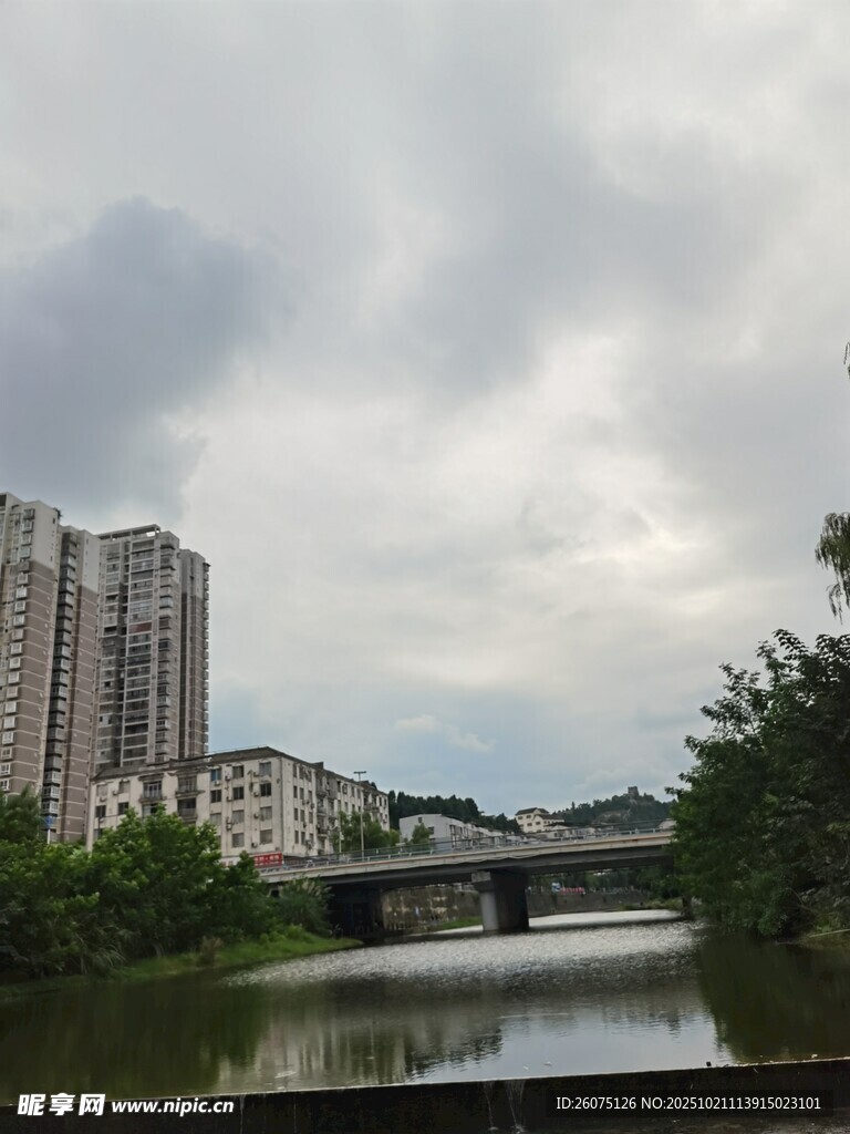 河畔高楼与繁茂绿植景观
