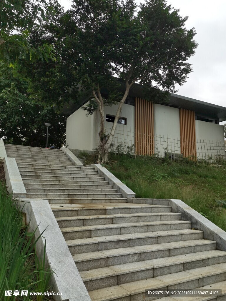通往小屋的石阶