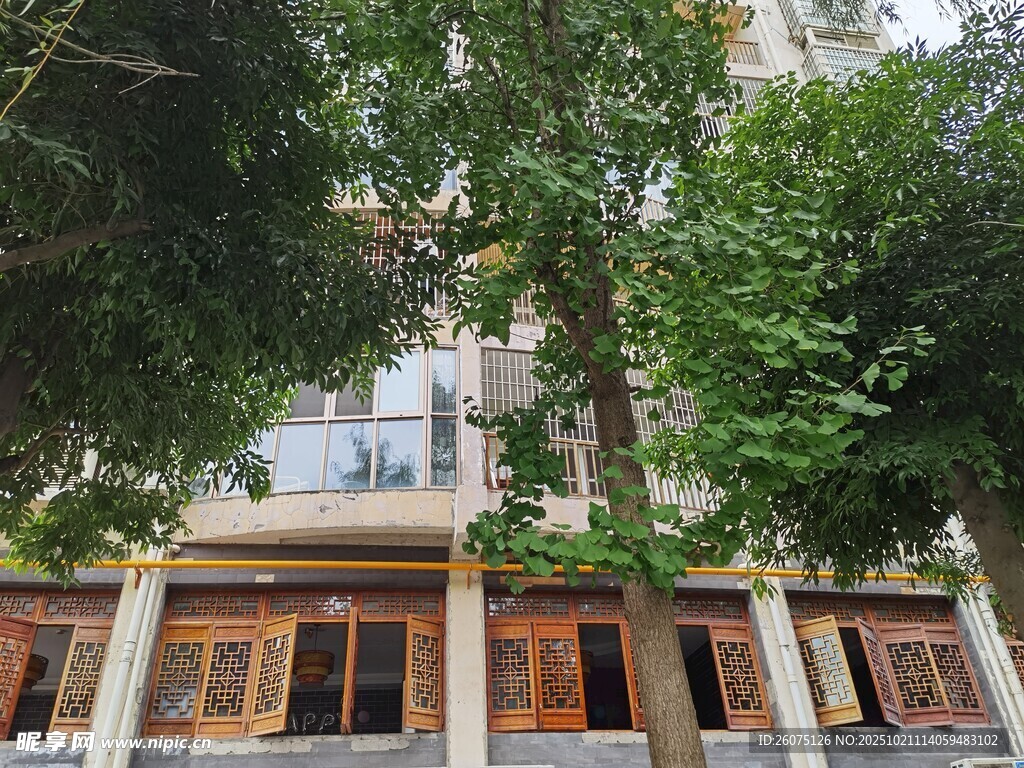 绿树环绕的古朴建筑