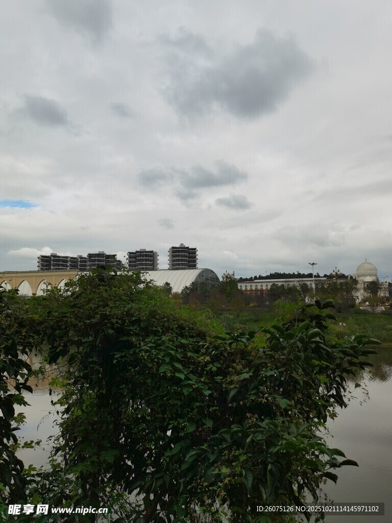 河畔绿植与远处建筑景观