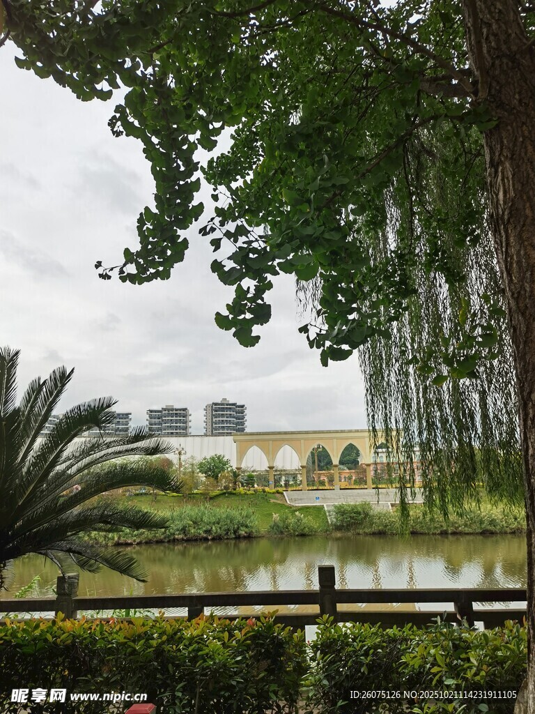 湖畔绿荫下的城市远景