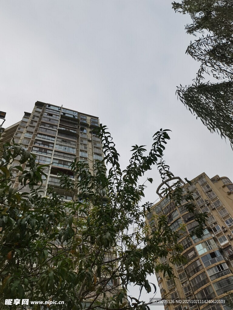 高楼间的绿植景观
