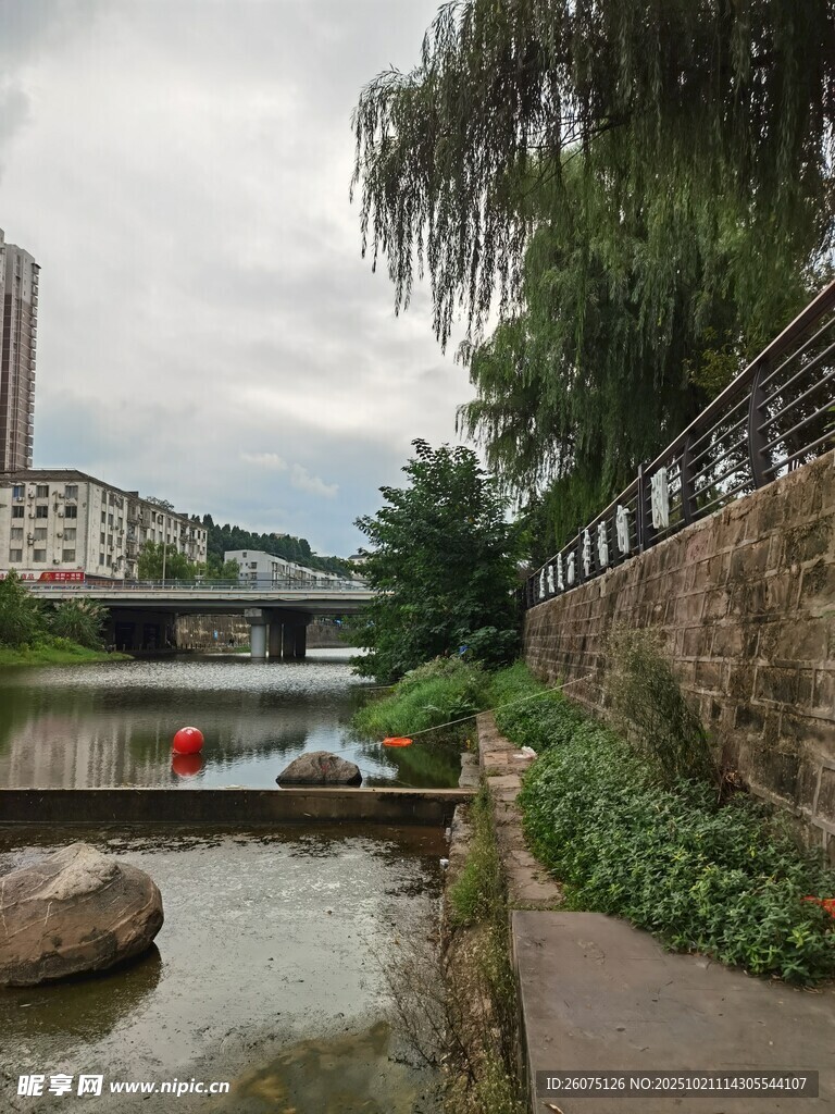 河畔风景静谧自然之美