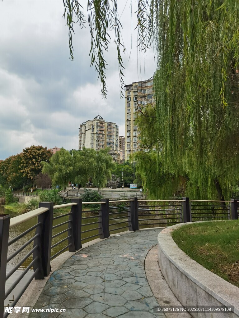河畔垂柳下的幽静步道