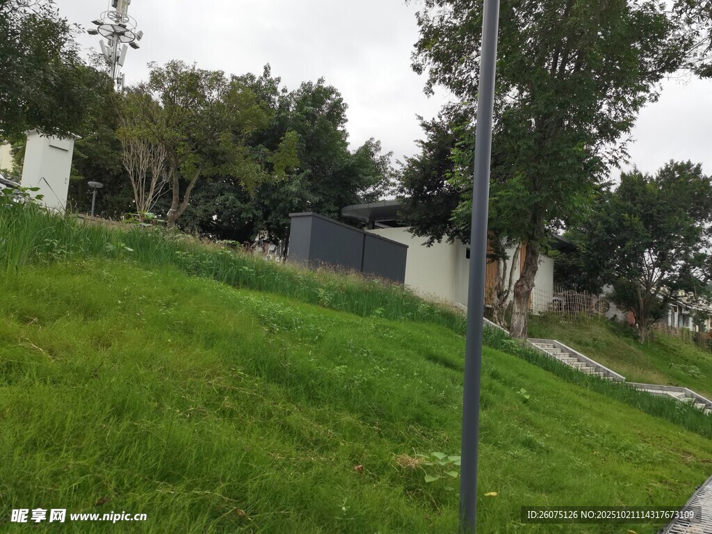 户外草地旁的建筑景观