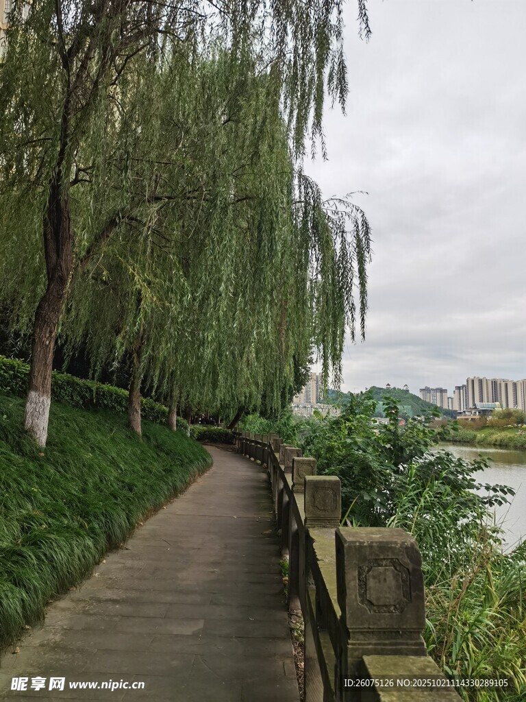 河畔垂柳下的幽静步道