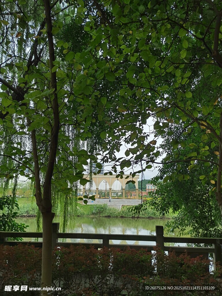 湖畔绿荫下的静谧景致