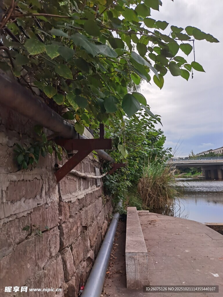 河畔砖墙绿植景致