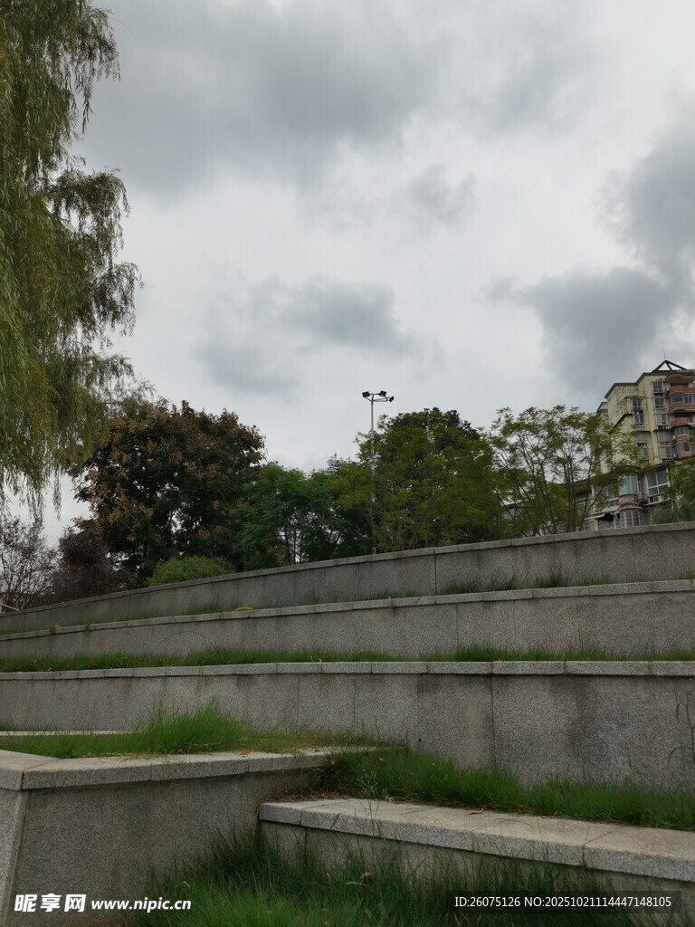城市户外景观中的绿植与墙